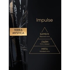 Аромадиффузор с палочками Breesal Terra Mystica Impulse 100 мл - фото 2