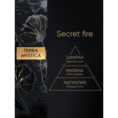 Аромадиффузор с палочками Breesal Terra Mystica Secret fire 100 мл - фото 2