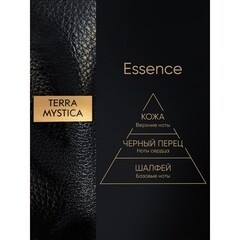 Аромадиффузор с палочками Breesal Terra Mystica Essence 100 мл - фото 2