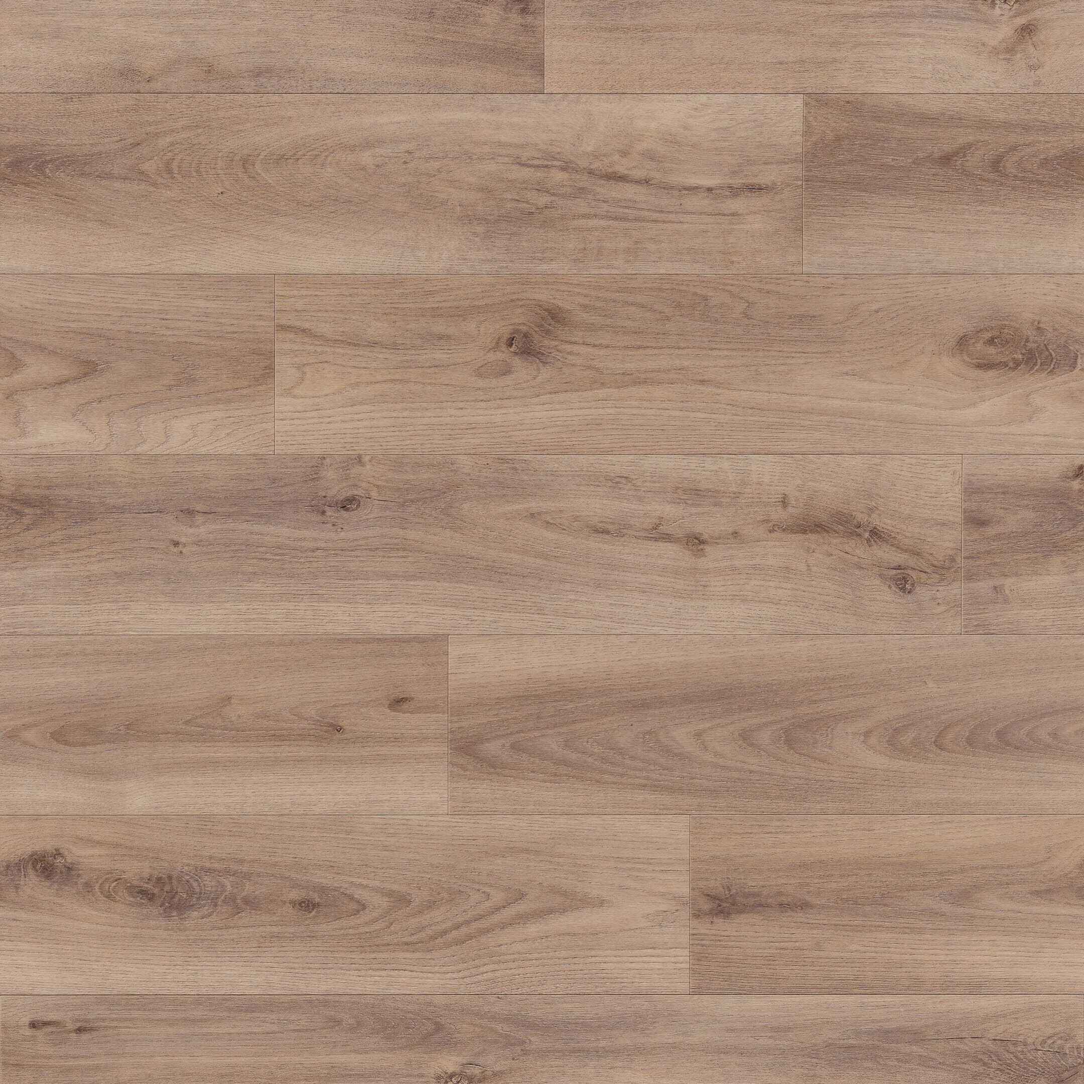 

Линолеум полукоммерческий 3,5 м Sinteros Bonus Platon 4, Коричневый