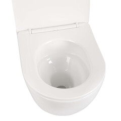 Унитаз подвесной Tokito Tatsumaki Mommo 4.0 безободковый белый с сиденьем дюропласт микролифт смыв торнадо (TOK-TATSUMAKI-4-0TM) - фото 25