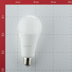 Лампа светодиодная Gauss E27 6500К 25 Вт 2150 Лм 180-240 В груша A67/A70 матовая - фото 8