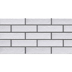 Клинкерная плитка для фасада Cerrad Foggia bianco (38 шт.=0,6 кв.м ) белая 245х65х8 мм