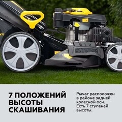 Газонокосилка бензиновая Champion LM5345 525 мм 6 л.с. - фото 5