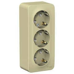 Розетка Systeme Electric Blanca накладная бежевая со шторками (BLNRA011317)