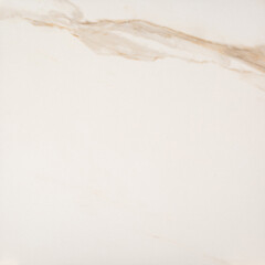 Керамогранит Уральский Гранит Neiva G392 бежевый 600х600х10 мм (4 шт.=1,44 кв.м) - фото 8