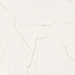 Керамогранит Уральский Гранит Neiva G391 белый 600х600х10 мм (4 шт.=1,44 кв.м) - фото 8