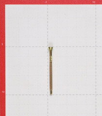 Саморезы для массивной доски 50x3,2 мм желтые (500 шт.) - фото 4