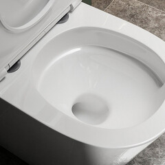 Унитаз-компакт Abber Bequem безободковый с горизонтальным выпуском с сиденьем дюропласт микролифт белый (AC1112T) - фото 4