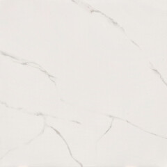 Керамогранит LCM Atlantic Marble белый полированный 600x600x8 мм (4 шт.= 1,44 кв.м) - фото 9