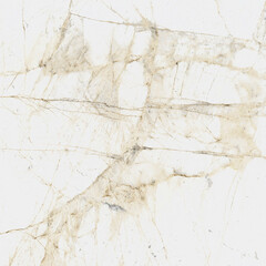 Керамогранит Coliseum Gres Canova white 596х596х9 мм (3 шт.=1,08 кв.м) - фото 6