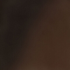 Изображение товара Клинкерная плитка Керамин Амстердам Шейд коричневая 298х298х7 мм (17 шт.=1,51 кв.м)