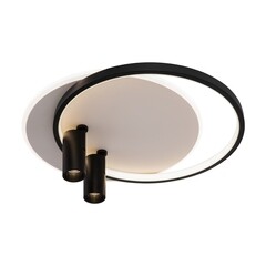 Светильник светодиодный накладной Freya Spotlights 4000К 75 Вт 30 кв.м черный IP20 (FR6083CL-L106WB) - фото 9