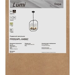 Светильник подвесной Freya Lumi E27 240 Вт 12 кв.м черный IP20 (FR5524PL-04BBZ) - фото 4