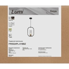 Светильник подвесной Freya Lumi E27 60 Вт 2 кв.м черный IP20 (FR5524PL-01BBZ) - фото 4