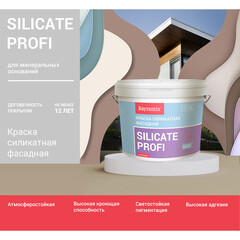 Краска фасадная Bayramix Silicate Profi силикатная база А белая 9 л - фото 8