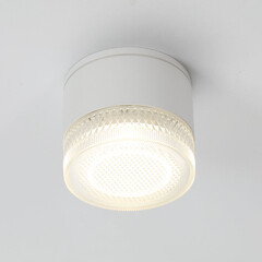 Светильник садово-парковый потолочный Arte Lamp Piautos белый 70 мм GX53 15 Вт IP54 (A1926PF-1WH) - фото 3
