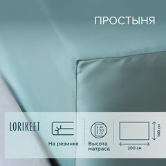 Простыня на резинке 140х200х30 см сатин шалфей Lorikeet Solo - фото 1