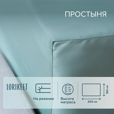 Простыня на резинке 160х200х30 см сатин шалфей Lorikeet Solo