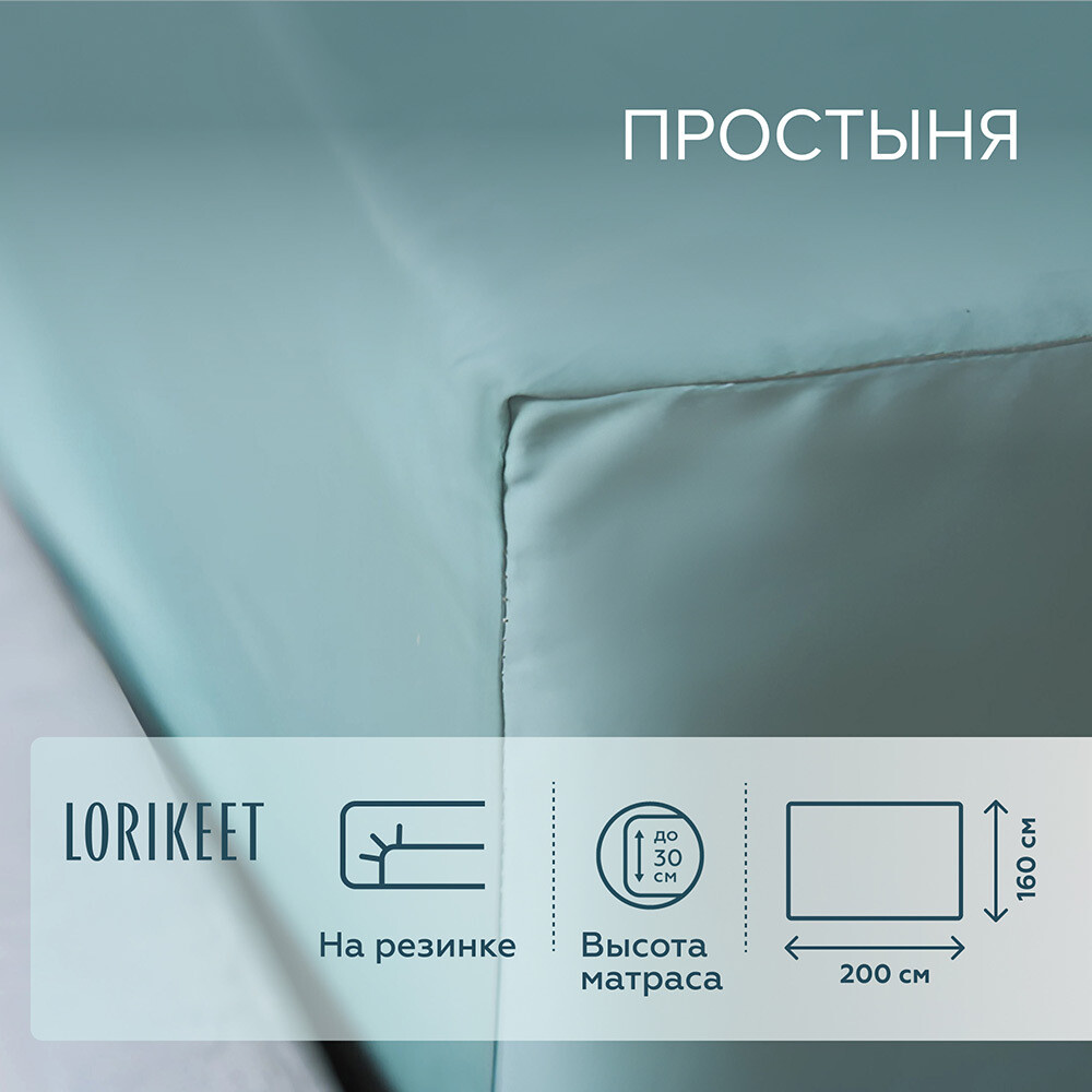 Изображение товара Простыня на резинке 160x200 см сатин шалфей Lorikeet Solo