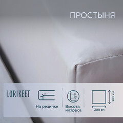 Простыня на резинке 200х200х30 см сатин серая Lorikeet Solo - фото 1