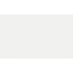 Изображение товара Обои под покраску виниловые на флизелиновой основе фактурные антивандальные Erismann Defender 2920-1 (1,06х25 м) плотность 106 г/кв.м
