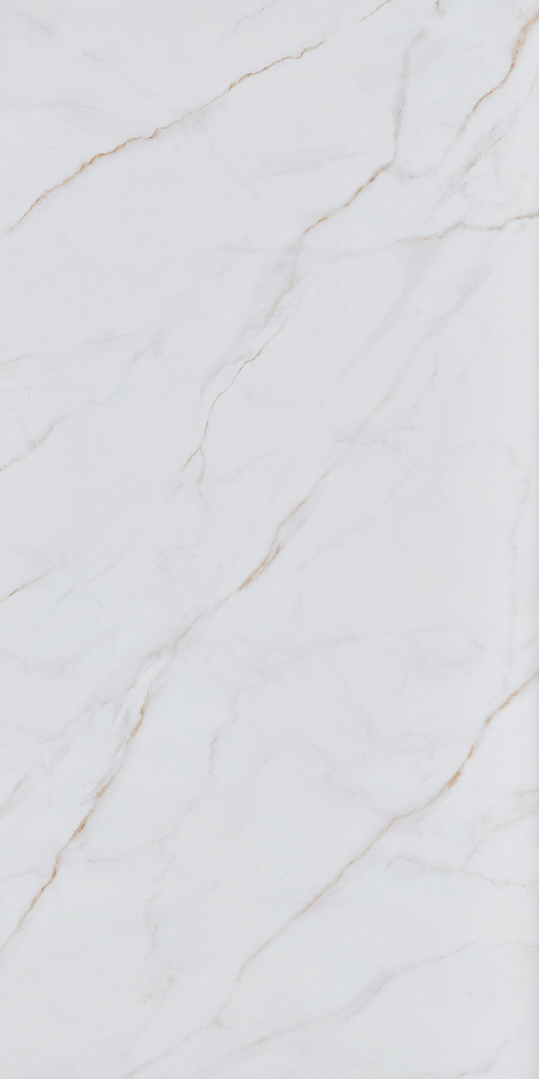 Изображение товара Керамогранит Alma Ceramica Neo Calacatta белый матовый 1200x600 мм