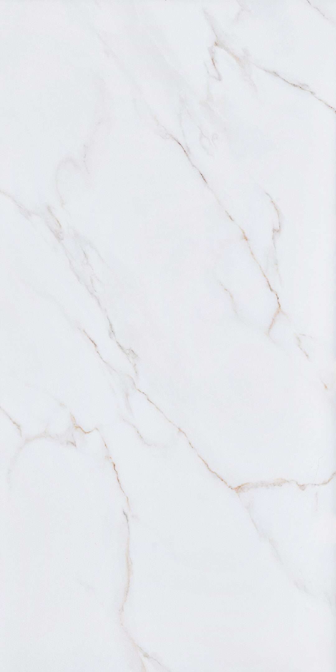 Изображение товара Керамогранит Alma Ceramica Nevada белый лаппатированный 1200x600 мм