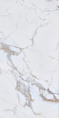 Керамогранит Buono Ceramica Marble белый полированный 1200х600х8,5 мм (2 шт.=1,44 кв.м) - фото 1