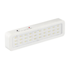 Табло световое аварийное Эра DPA-1 6500К 3 Вт (DBA-105-0-20) - фото 1