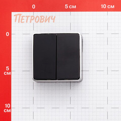 Выключатель Werkel Gallant двухклавишный накладной черный/хром (a050972) - фото 2