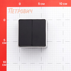 Изображение товара Выключатель Werkel Gallant двухклавишный накладной черный/хром (a050976)