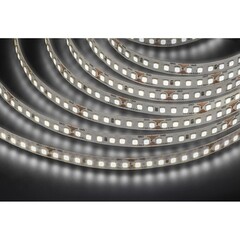 Лента светодиодная Navigator SMD 2835 NLS 4000К 24 В 14 Вт/м IP20 5 м (95303) - фото 1
