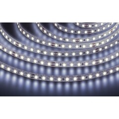 Лента светодиодная Navigator SMD 2835 NLS 6000К 24 В 9,6 Вт/м IP20 5 м (95296) - фото 1