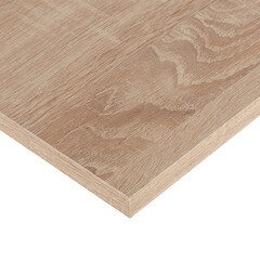 Щит мебельный ЛДСП 800х300х16 мм дуб светлый - фото 3