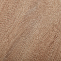 Щит мебельный ЛДСП 800х300х16 мм дуб светлый - фото 2