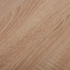 Щит мебельный ЛДСП 1200х600х16 мм дуб светлый - фото 2