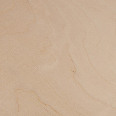 Фанера ФК 10х1525х1525 мм сорт 2/4 шлифованная - фото 3