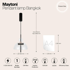 Светильник светодиодный подвесной Maytoni Bangkok 3000К 12 Вт 6 кв.м черный IP20 (MOD185PL-L6B3K1) - фото 2