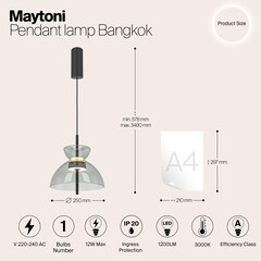 Светильник светодиодный подвесной Maytoni Bangkok 3000К 12 Вт 2 кв.м черный IP20 (MOD185PL-L11B3K2) - фото 3