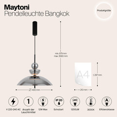 Светильник светодиодный подвесной Maytoni Bangkok 3000К 12 Вт 2 кв.м черный IP20 (MOD185PL-L6B3K6) - фото 3