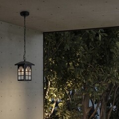 Светильник садово-парковый подвесной Voltega Gaster черный 300 мм E27 40 Вт IP44 (VGL7217PL-01B) - фото 2