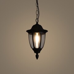 Светильник садово-парковый подвесной Voltega Frak черный 300 мм E27 13 Вт IP44 (VGL7305PL-01B) - фото 9