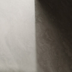 Керамогранит Уральский Гранит Гранитея Аллаки светло-серый G203 полированный 600х600х9 мм (4 шт.=1,44 кв.м) - фото 6