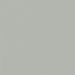 Керамогранит Уральский Гранит Моноколор светло-серый полированный UF002PR 600х600х9 мм (4 шт.=1,44 кв.м) - фото 1