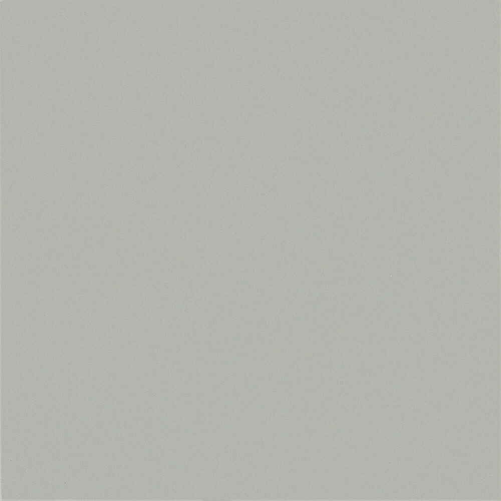 

Керамогранит Уральский Гранит Моноколор светло-серый полированный UF002PR 600х600х9 мм (4 шт.=1,44 кв.м)