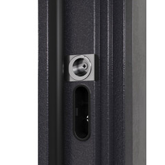 Дверь входная Torex Талса левая ферро - бетон темный 950х2050 мм - фото 2