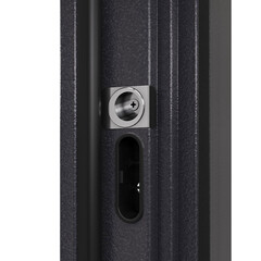 Дверь входная Torex Талса Скай левая крема - черная шагрень с зеркалом 950х2050 мм - фото 2