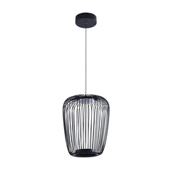 Изображение товара Светильник светодиодный подвесной Arte Lamp Flare 3000К 12 Вт 2 кв.м черный IP20 (A3528SP-12BK)