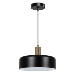 Изображение товара Светильник подвесной Arte Lamp Skat E27 60 Вт 2 кв.м черный IP20 (A7052SP-1BK)